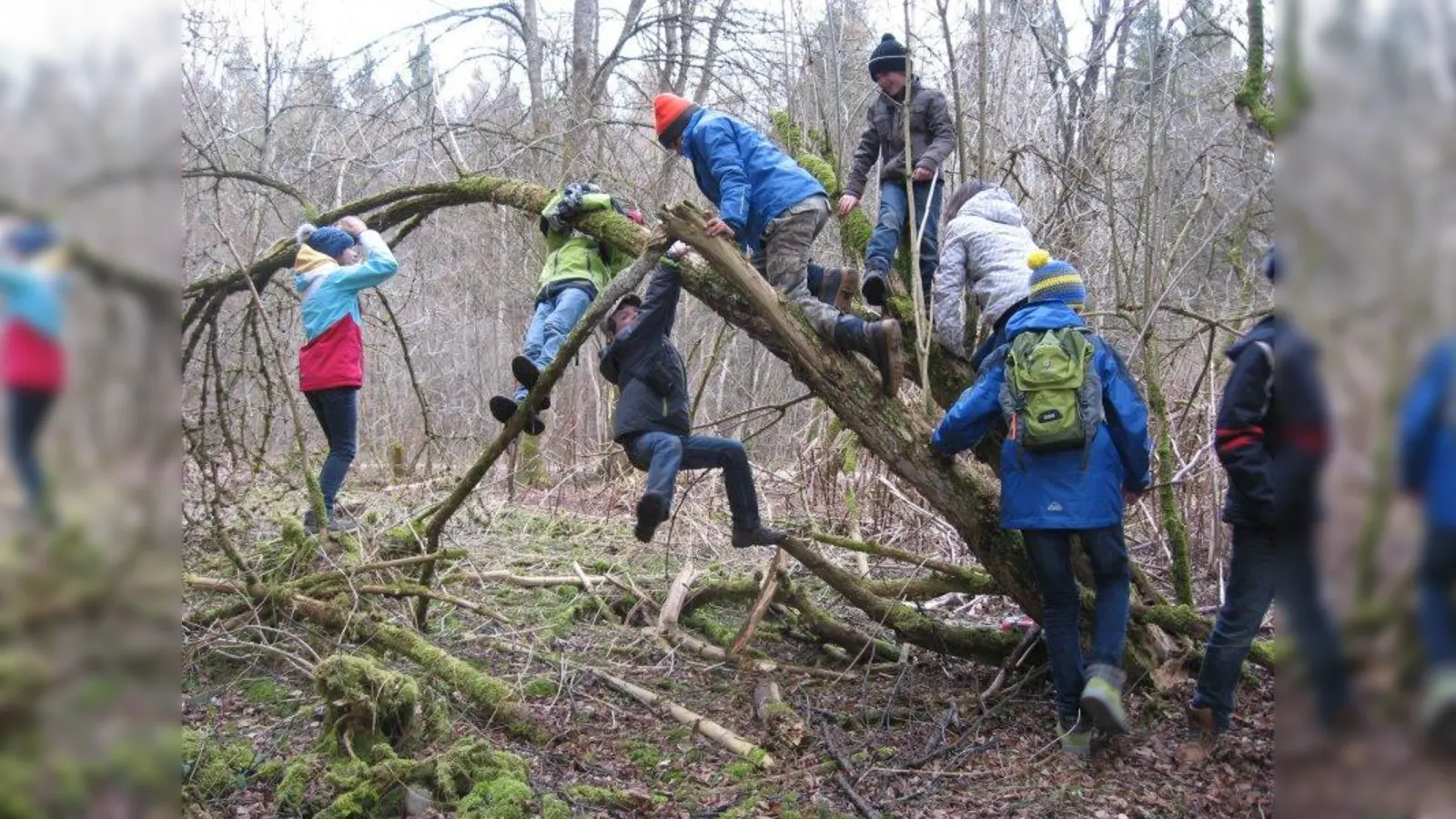 Naturerlebnis: In Pasing hat der Landesbund für Vogelschutz eine Naturgruppe für Kinder im Alter von sieben bis zehn Jahren gegründet. (Foto: U. Thoma)