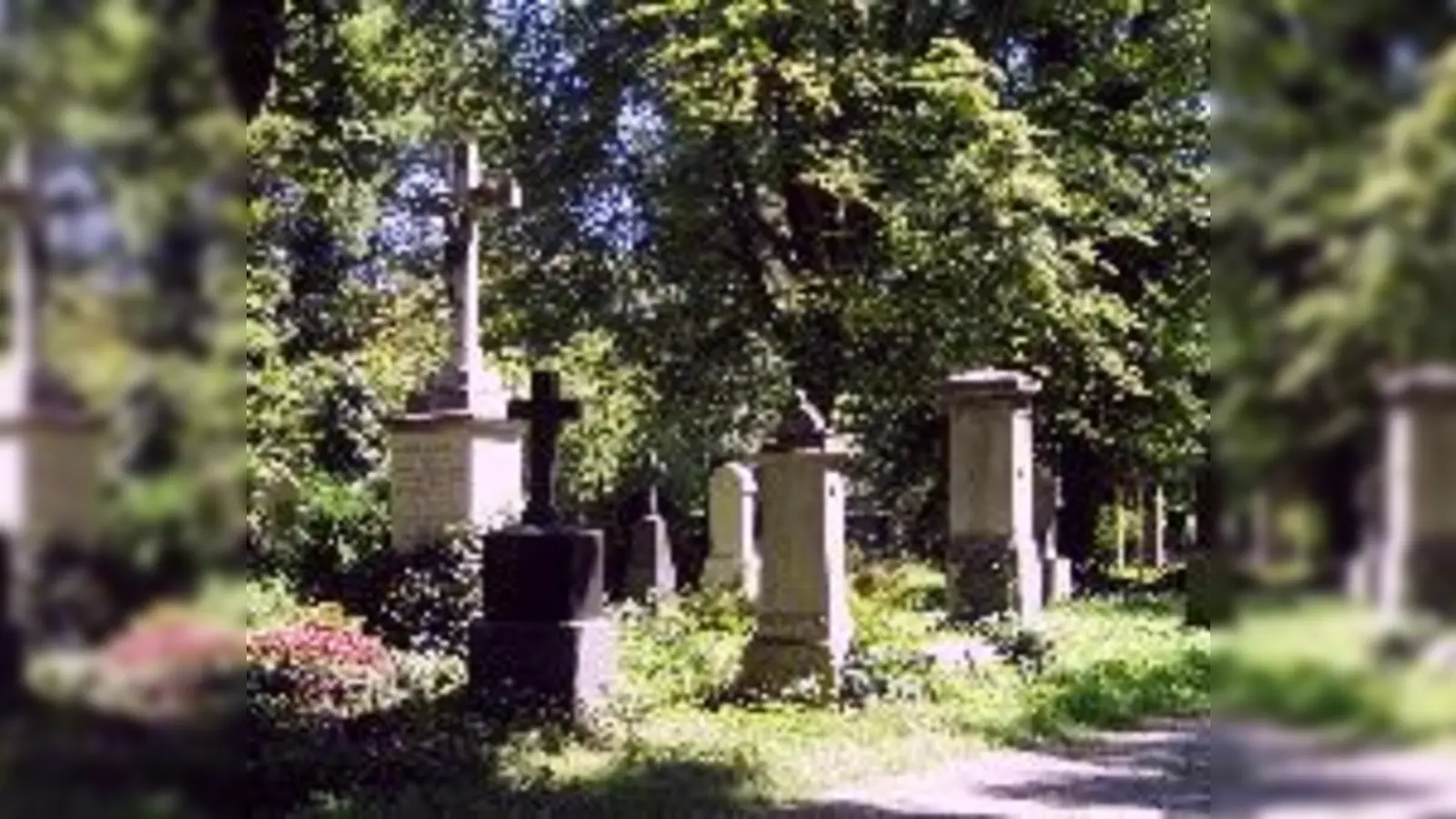 Der Alte Südliche Friedhof erzählt Geschichten aus längst vergangenen Zeiten. 	 (Foto: VHS)
