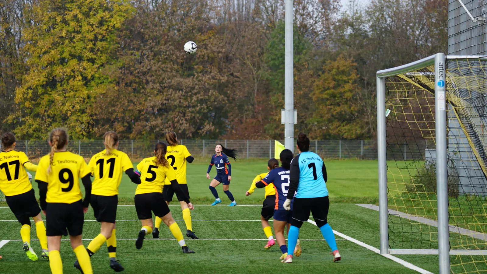 Teutonische Überzahl: Löwinnen zu Gast im Olympiapark. (Foto: J. Mentel)