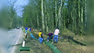 Krötenzäune sollen verhindern, dass die wandernden Amphibien unter die Räder geraten. (Foto: W. Willner)