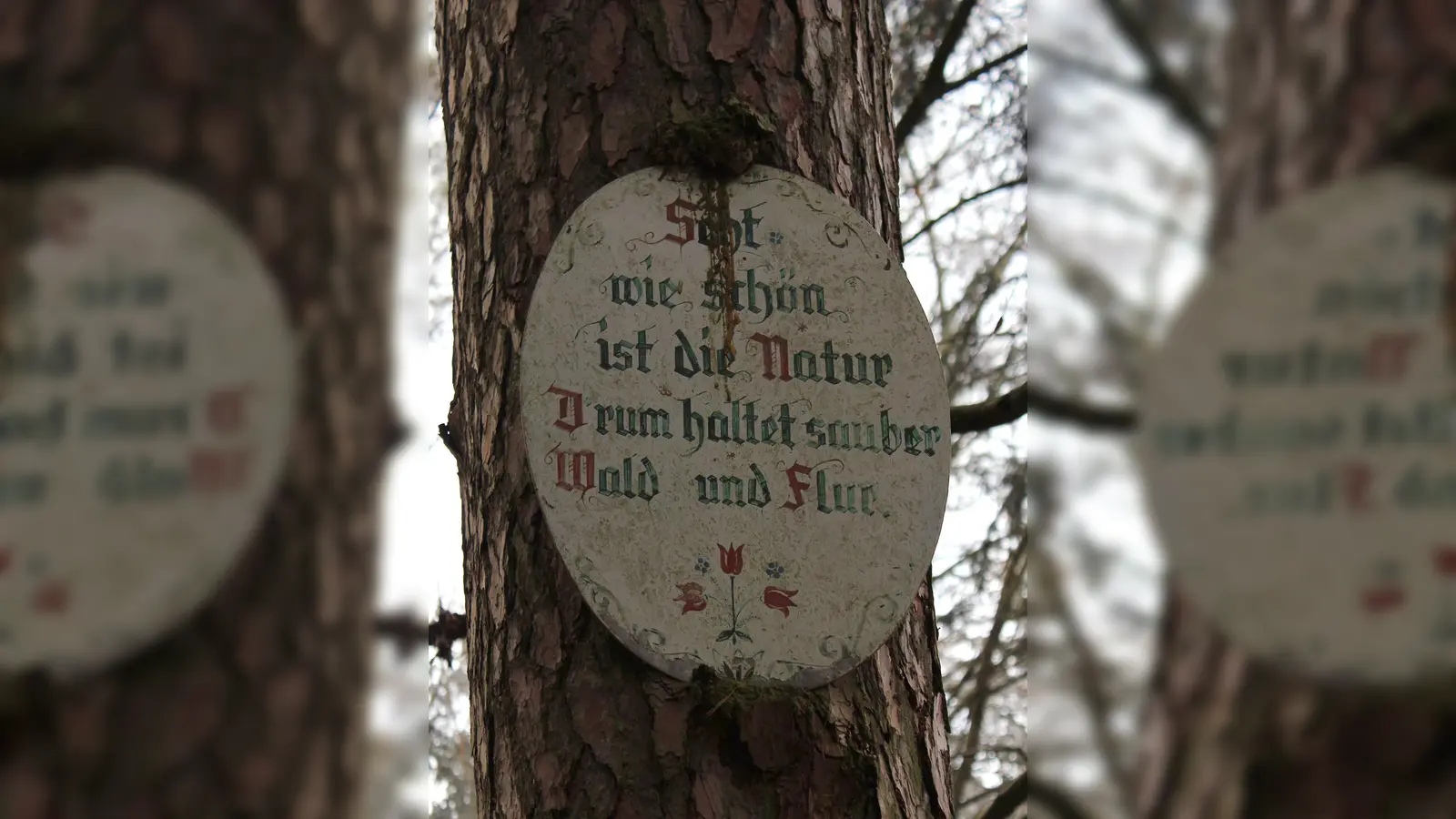 Tafel in einem Waldstück bei Petershausen, Lkr. Dachau. (Foto: Andrea Kurzböck)