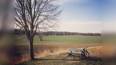 Gemeinsame, gemütliche Radl-Tagestour ums Brucker Moos am 20. August. (Foto: Daniel Mielcarek)