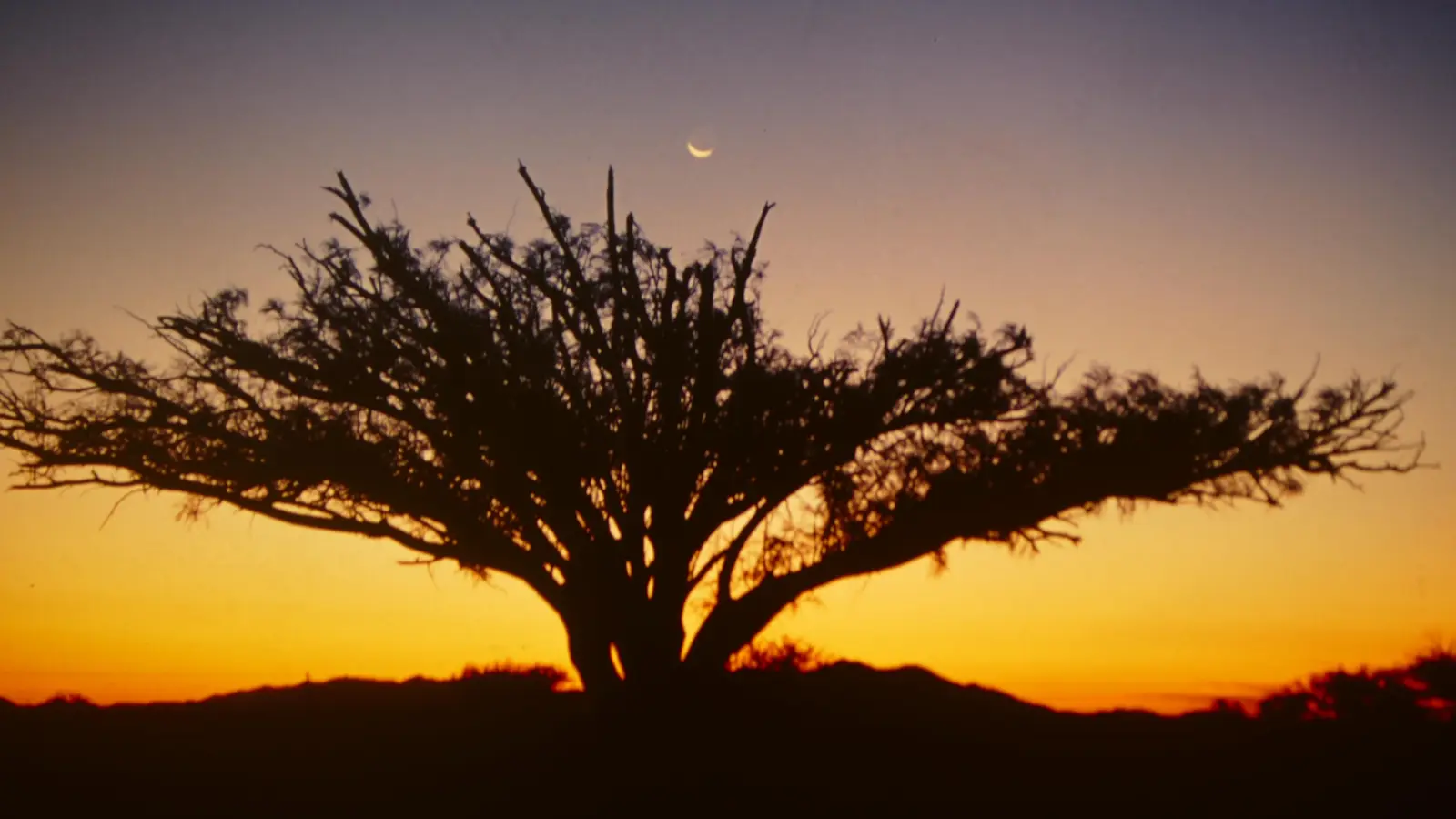 Der Fotojournalist Peter Sachsenmaier hat den Süden Afrikas mehrmals bereist. (Foto: Peter Sachsenmaier)