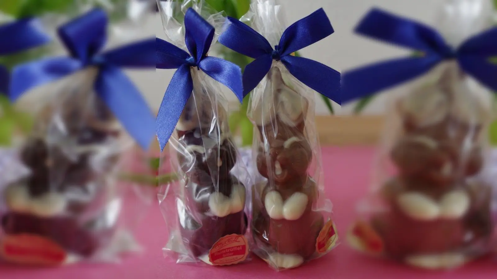 Besuch vom Osterhasen! Grundschüler aus der Fürstenrieder Straße besuchten das Sozialzentrum Laim und sorgten damit für echte Osterfreude. (Foto: kö)