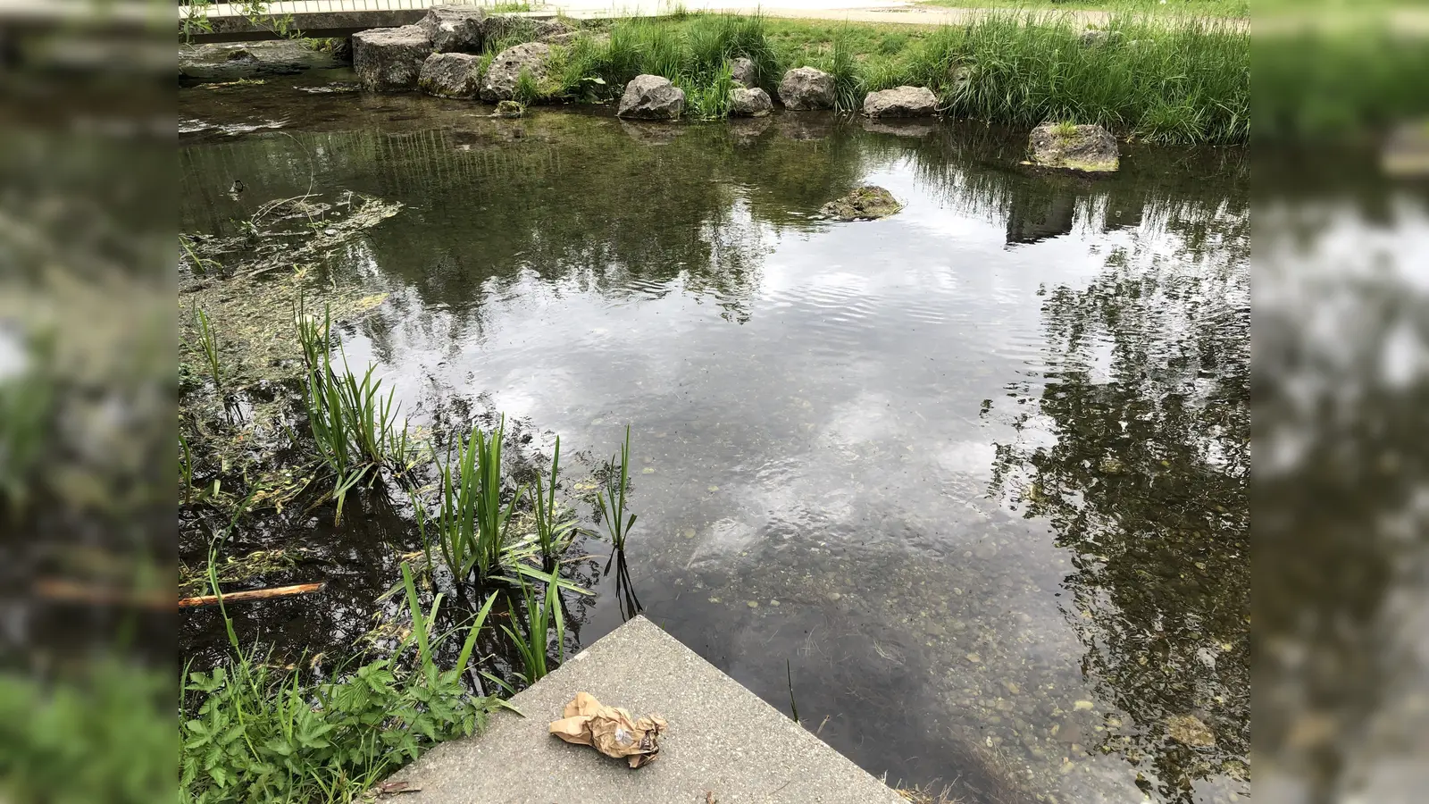 Achtlos weggeworfenem Müll am Hachinger Bach im Landschaftspark geht es am Sonntag, 14. Juli an den Kragen. Da wird zum großen Rama dama aufgerufen. (Foto: hw)