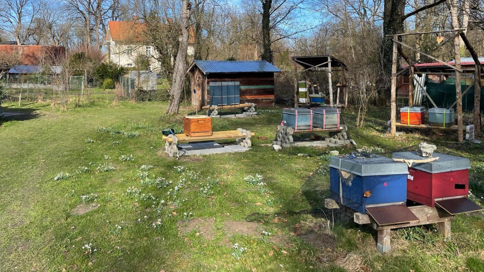 Imkern-in-M-nchen-zeigt-wie-eng-Natur-und-Stadtleben-miteinander-verbunden-sein-k-nnen