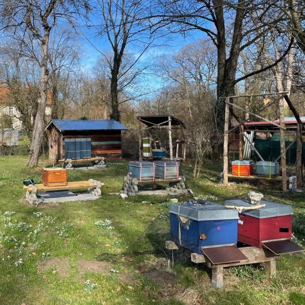 Der Lehrbienenstand des Imkervereins (Foto: Imkerverein München und Umgebung e.V.)
