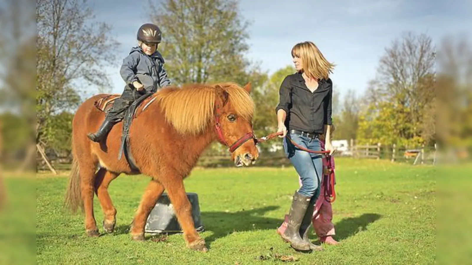 Islandpony Faxi von der Pädagogischen Farm München-Ost ließ sich nie aus der Ruhe bringen und war vor allem bei vielen Kinder sehr beliebt. 	 (Foto: privat)