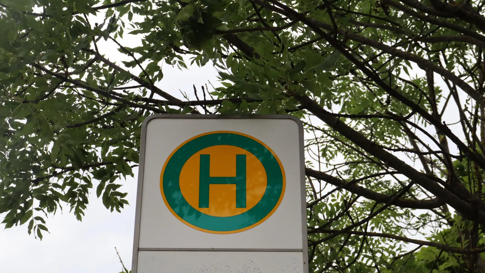 Wegen einer Sportveranstaltung in der Ludwigs- und Leopoldstraße werden am Wochenende mehrere Buslinien umgeleitet.  (Archivbild: mha)