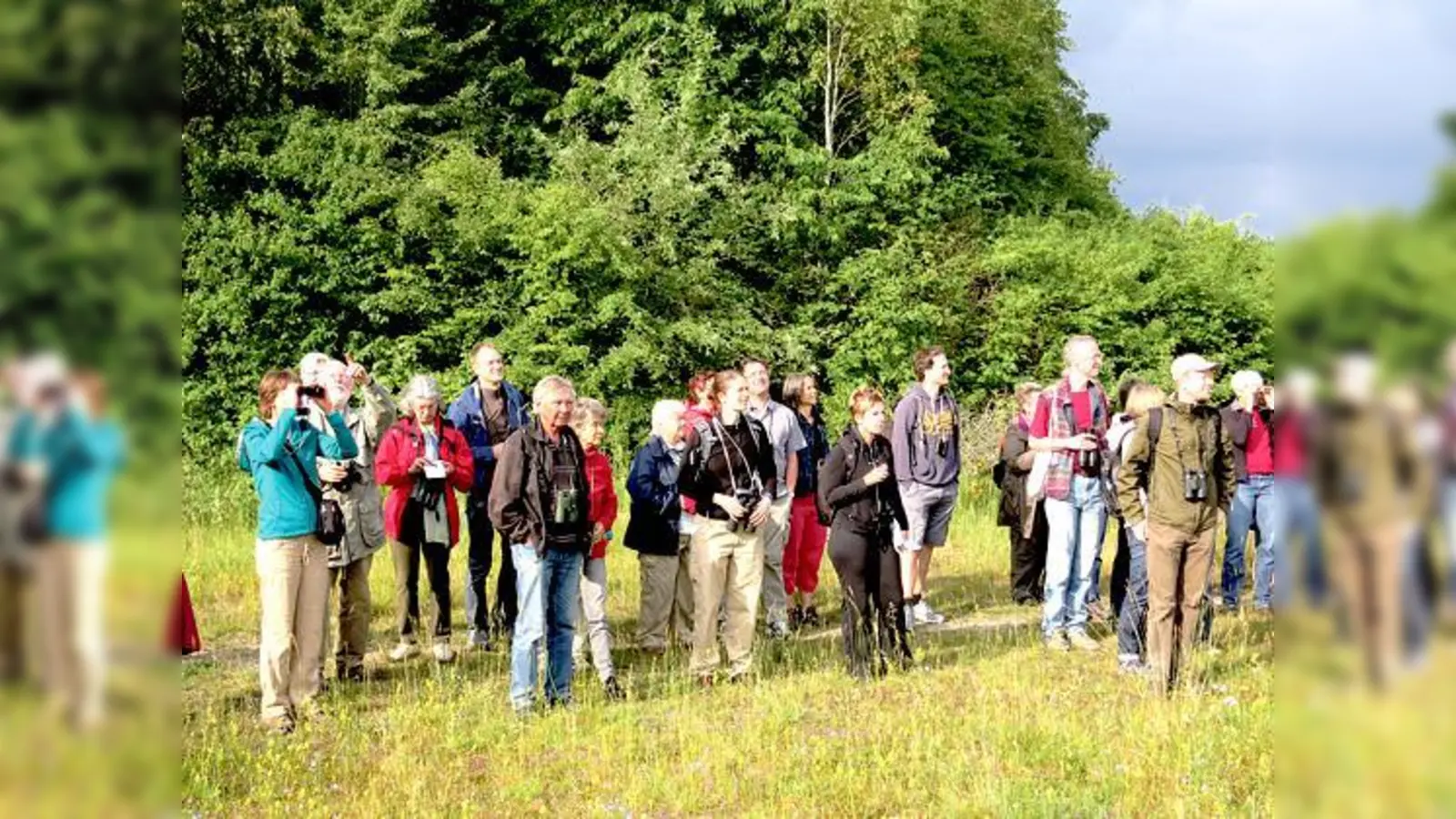 Viel zu entdecken gibt es bei dem Ausflug in den Riemer Wald am 4. Juni. 	 (Foto: VA)