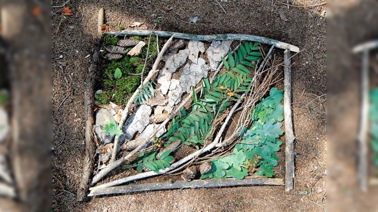 Familien können sich bei »Natürlich Kunst« von Farben und Formen der Natur inspirieren lassen. 	 (F.: privat)