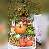 Die farbenfrohe Ernte wird präsentiert (Foto: Markus Wasmeier)