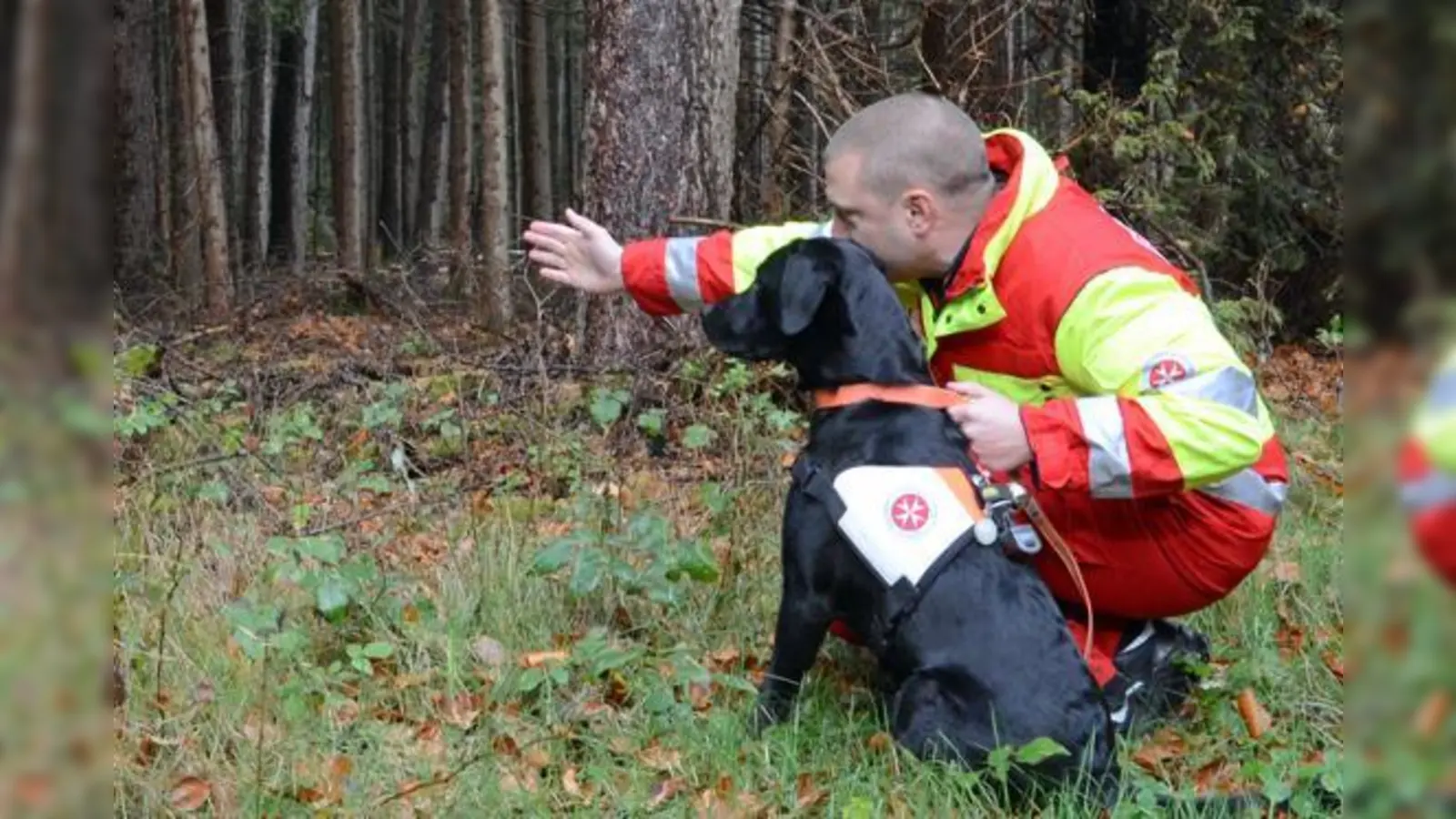Ein angehender Rettungshund beim Training: In München suchen die Johanniter nun Nachwuchs für die Rettungshundearbeit.	 (Foto: Johanniter/Julia Fritsch)