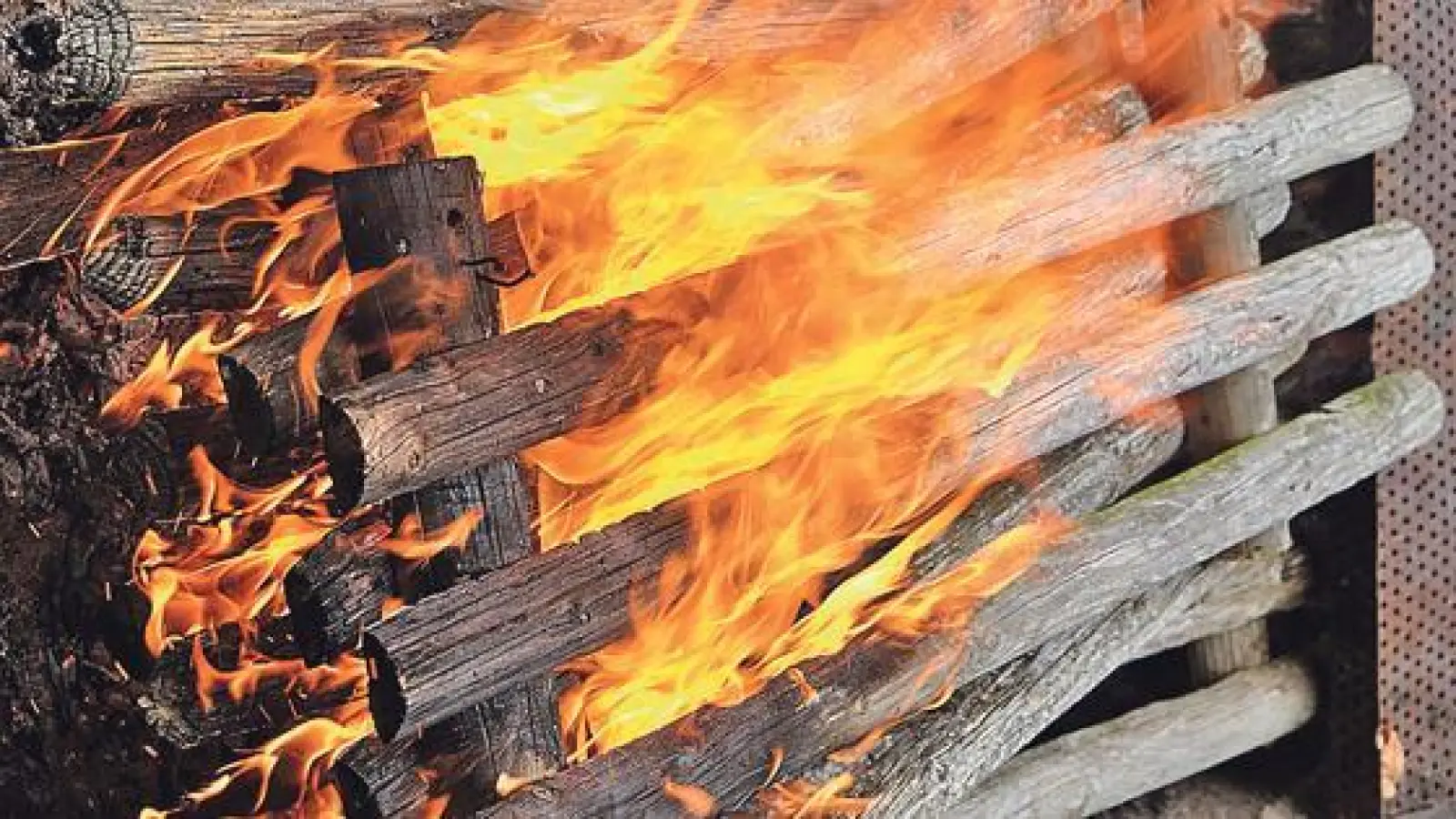 Der Gartenbauverein Feldkirchen lässt alljährlich den alten Brauch des Kartoffelfeuers wieder aufleben.	 (Foto: Verein)