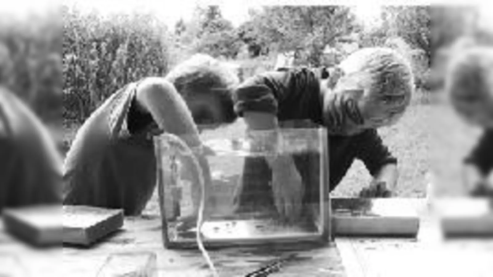 Spielerisches und Lehrreiches rund ums nasse Element beim Wasser-Aktionstag im ÖBZ.	  (Foto: VA)