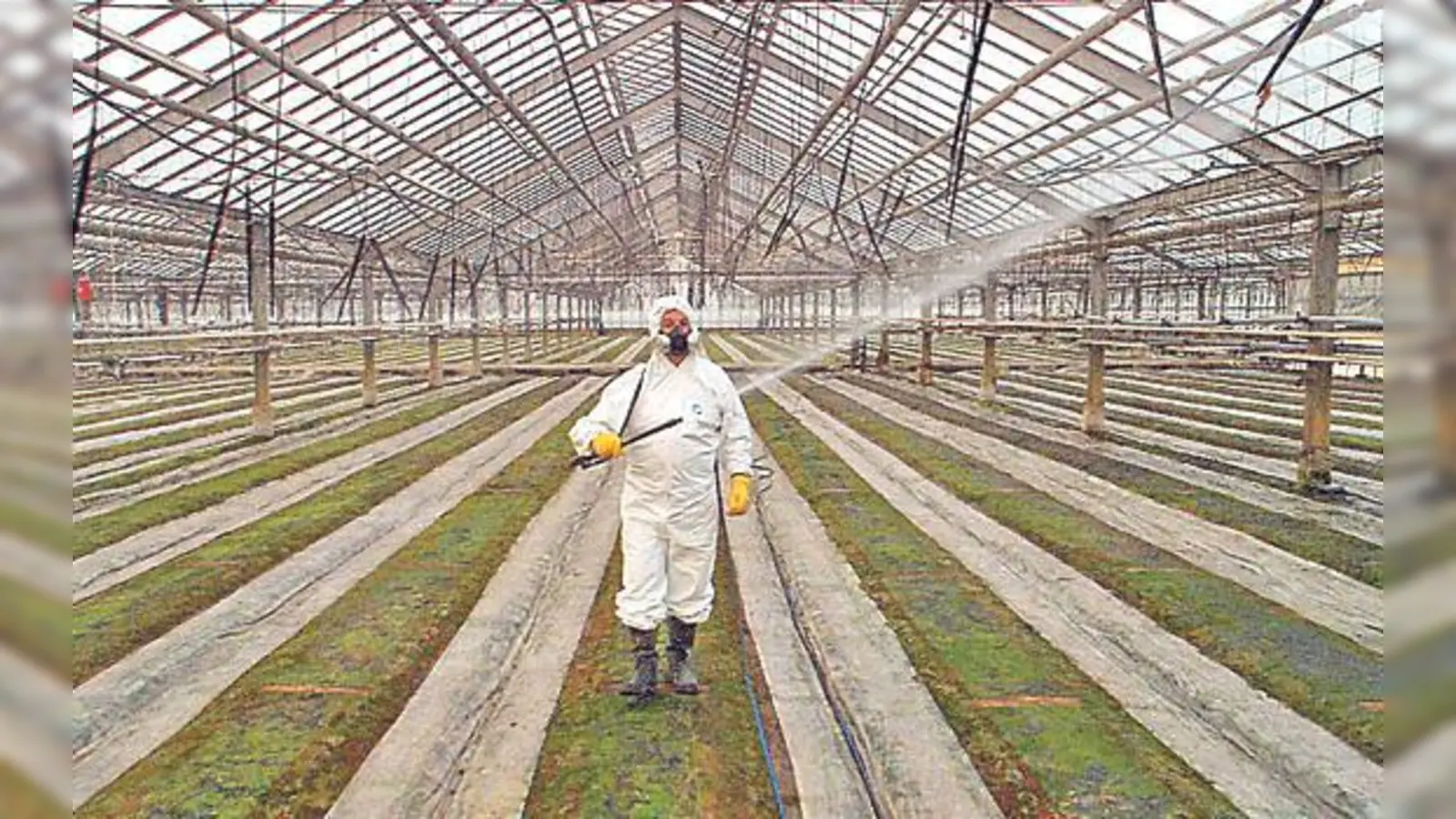 Im Film »Unser täglich Brot« geht es um die Massenproduktion von Lebensmitteln.	 (Foto: VA)