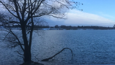 Sechs EU-Badegewässer gibt es im Landkreis Erding, darunter auch der Kronthaler Weiher in Erding. (Archivbild: sbg)