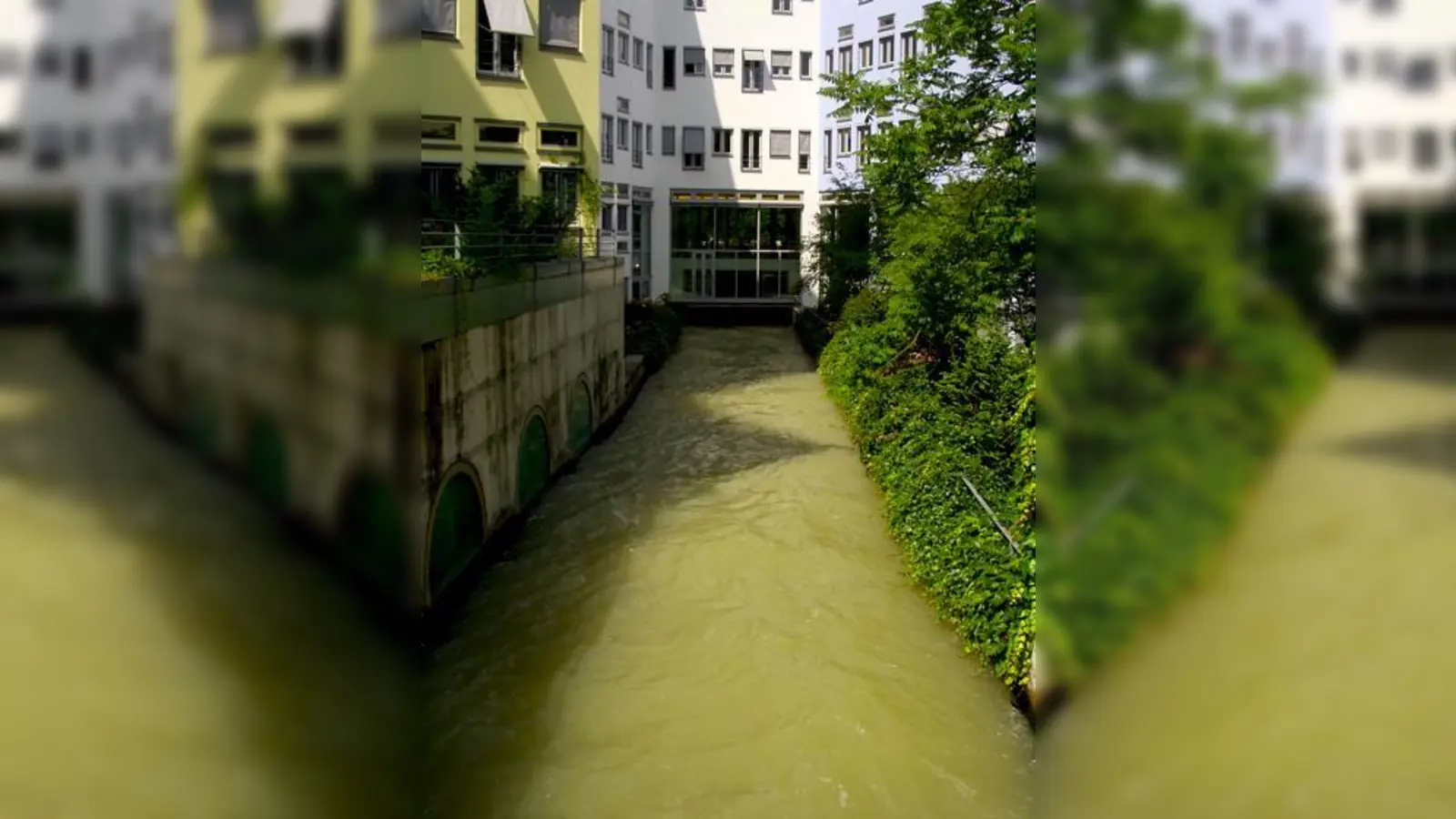 Der Westermühlbach im Lehel.  (Foto: Vhs)