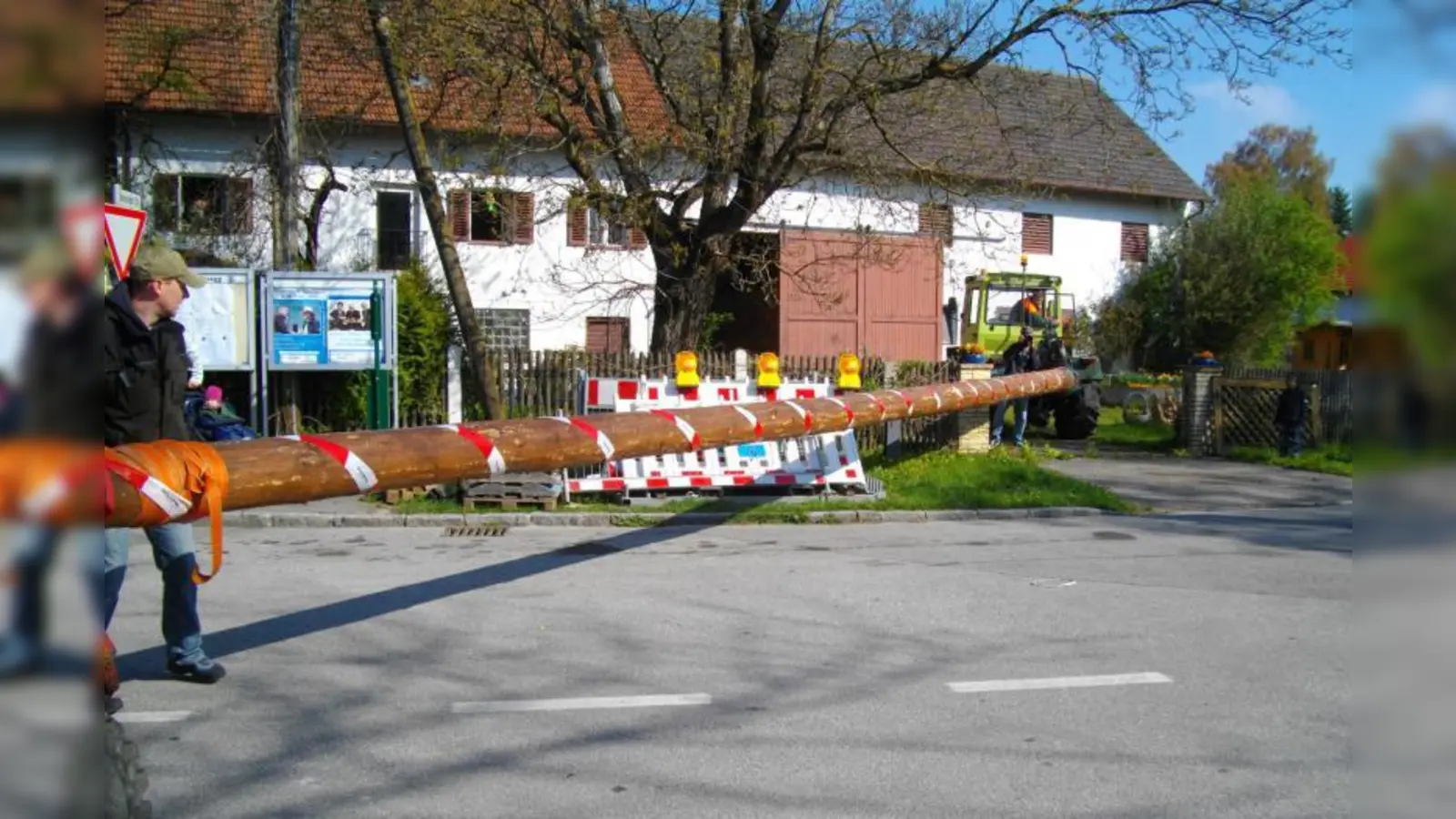 27 Meter und 1,6 Tonnen misst der Martinsrieder Maibaum. Bis zum ersten Mai bleibt er an einem „geheimen“ Ort, wo er angemalt, rausgeputzt und vor allem gut bewacht wird. (Foto: US)