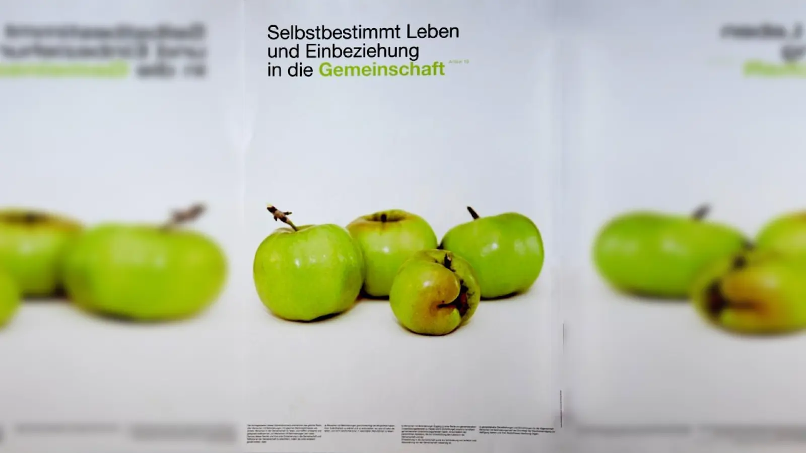 Eine Wander-Ausstellung über die Interpretationen zu Behindertenrechtskonvention.	 (Foto: VA)