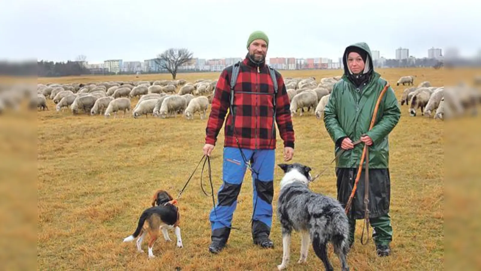Setzen sich für mehr Miteinander auf der Panzerwiese ein: Schäferin Martina Feser und Alexander Wöhl.	 (Foto: ch)
