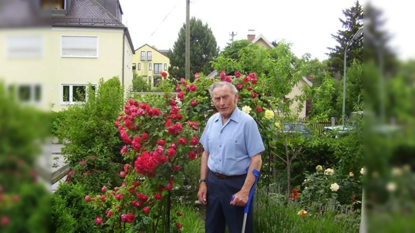 Trotz zahlreicher Ehrenämter bleibt dem 84-jährigen Günther Kaiser noch ge­nügend Zeit, um die Rosen in seinem Garten zu genießen.	 (Foto: js)