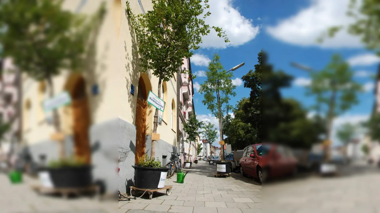 Neues Grün für München: die mobile Baumallee (Foto: pi)