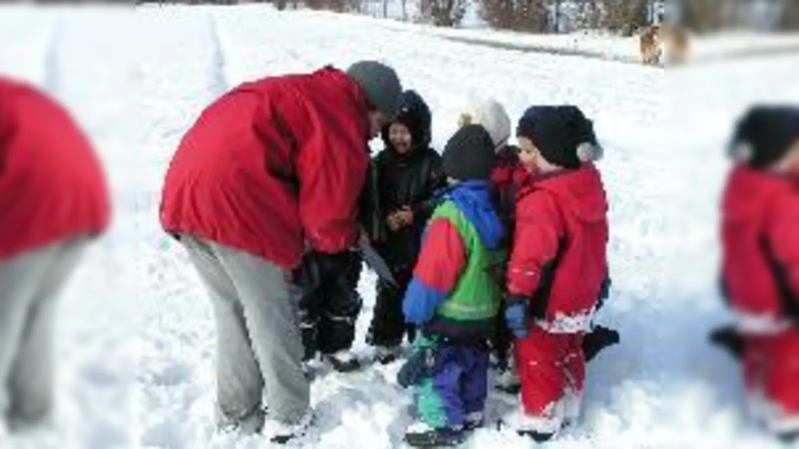 Im Naturkindergarten Bogenhausen: Lesen im Schnee.	 (Foto: Privat)