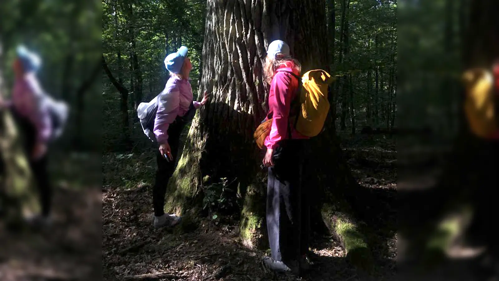 Christiane Huber (rechts) im Bialowieza-Wald. (Foto: Lucy Sosnowska)