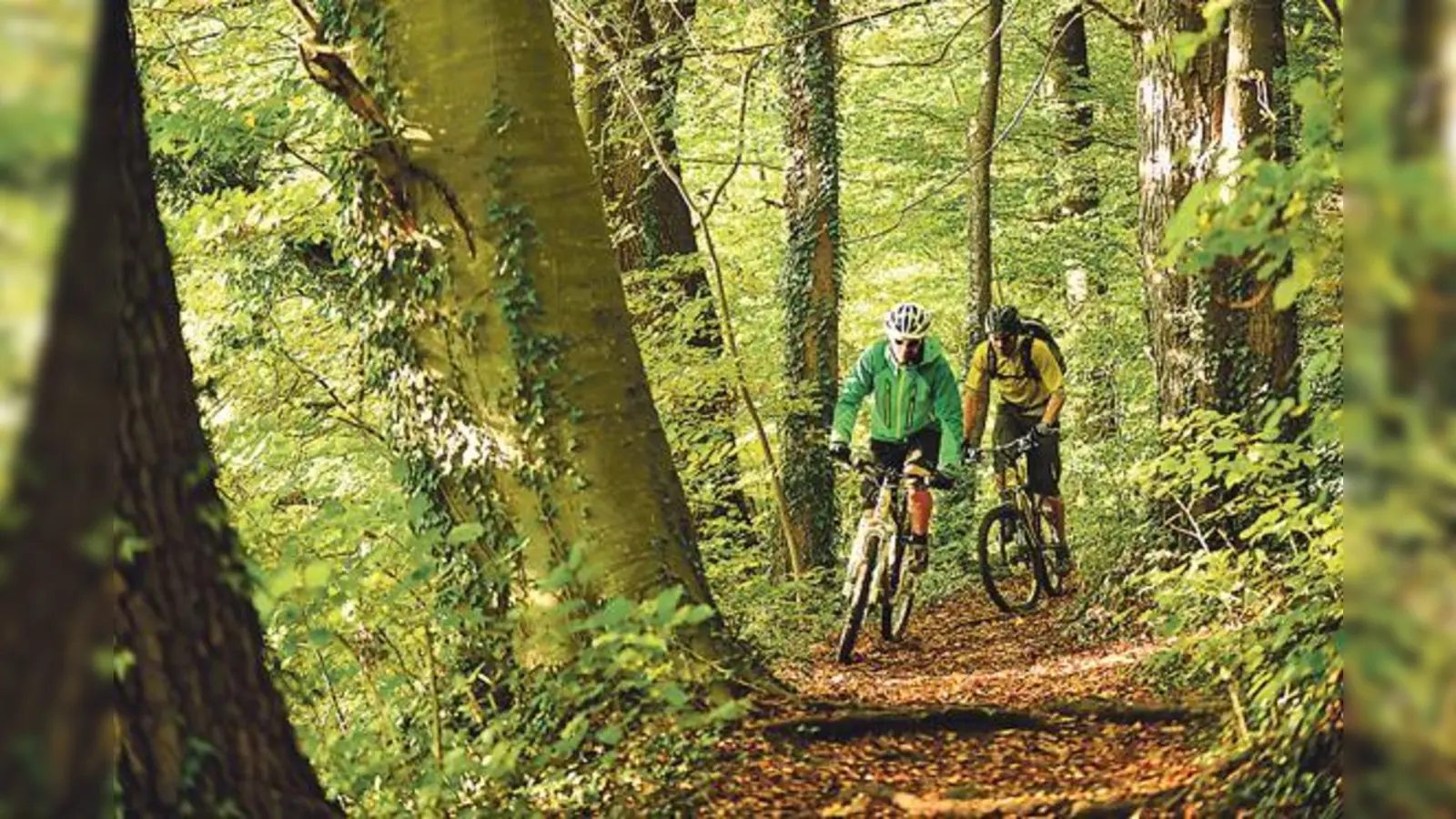 Mountainbiking soll im Isartal auf möglichst attraktiven Routen möglich sein, aber auf ein naturverträgliches Maß begrenzt werden.	 (Foto: Ralf Glaser/www.trails.de)