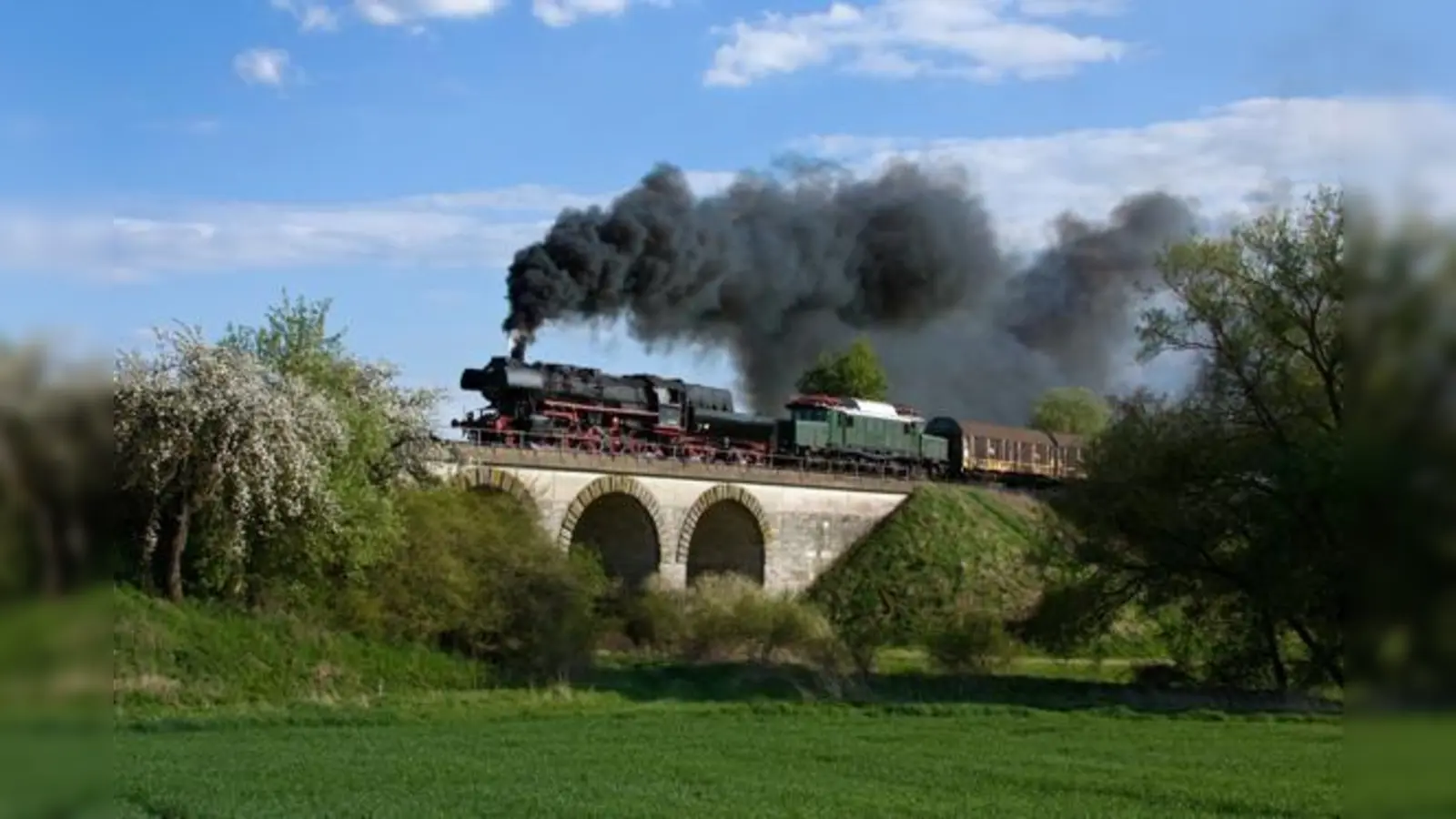 Die Dampflok zieht hier ein »Krokodil« und Güterwaggons. Personenwaggons kann sie natürlich auch. Ein echtes Erlebnis.	 (Foto: BEM)