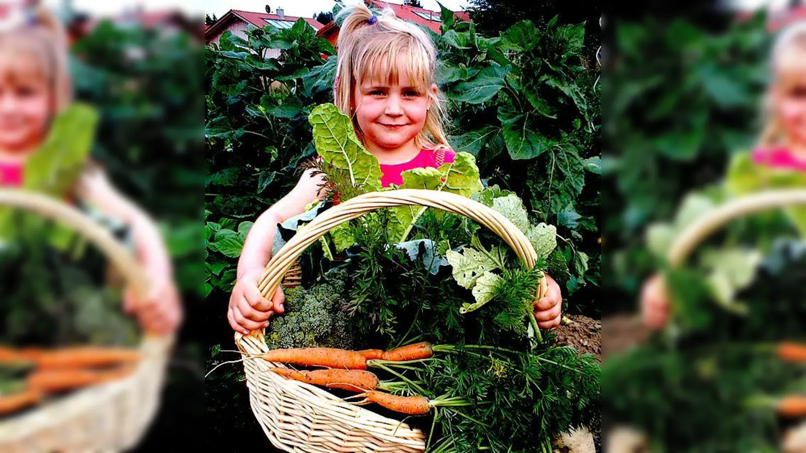 Auf den Sonnenäckern kann man selber Gemüse und Blumen anbauen, Kinder findens prima.	 (Foto: VA)