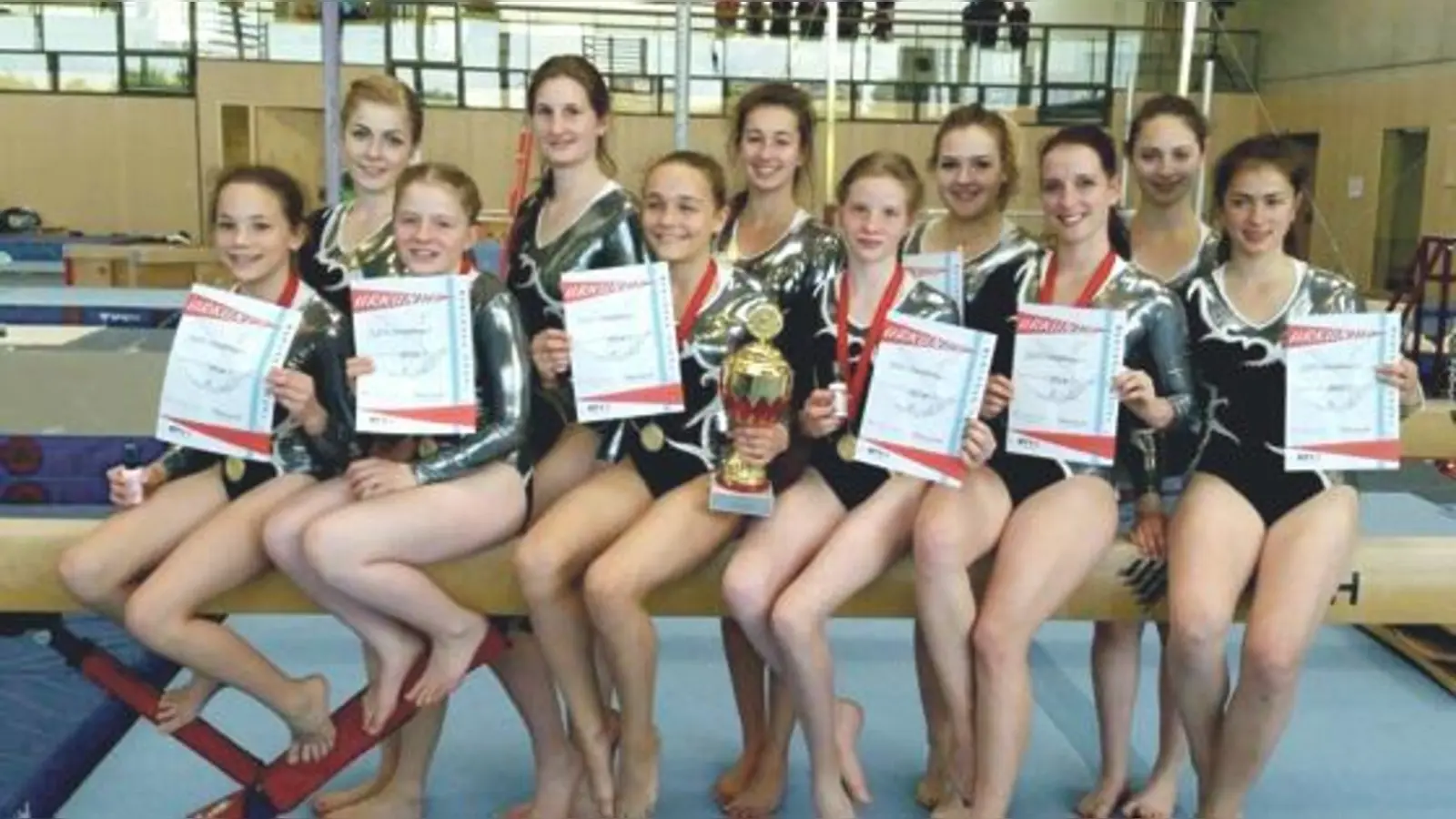 Die Turnerinnen (v. l.) Lia Urban, Sarah Schütz, Vassilia Inioutis, Michelle Lehmann, Isabella Peischl, Tanya Rukhlenko (h.v.l.): Kristina Jäger, Theresa Ilmberger, Anna Scheske, Sophie Guist und Sophia Langer zeigten eine hervorragende Leistung.  (F.: VA)