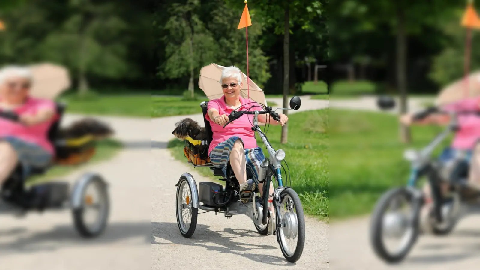 Die rüstige Münchnerin legte mit ihrem Pedelec 1.261 Kilometer zurück.  (Foto: VA)