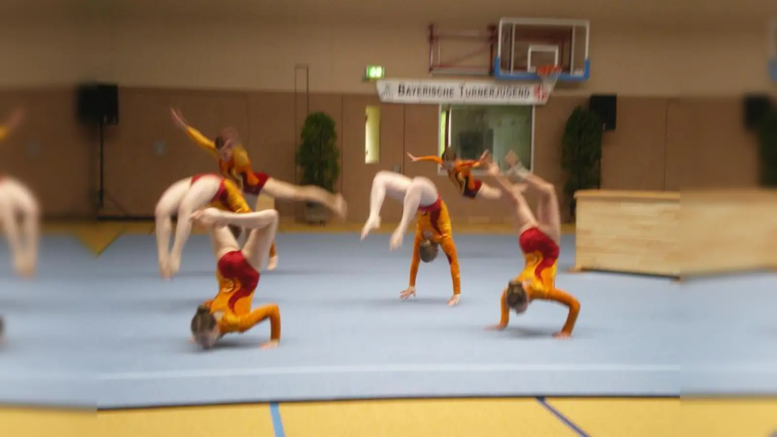 Gute Leistungen zeigten die Turnerinnen des TSV Allach. (Foto: TSV Allach)