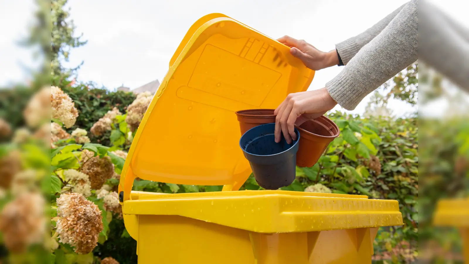 Stauden, Sträucher und Bäume: Herbstzeit ist Pflanzzeit. Leere Pflanztöpfe können recycelt werden. (Foto: Initiative „Mülltrennung wirkt“ / Marcella Merk)