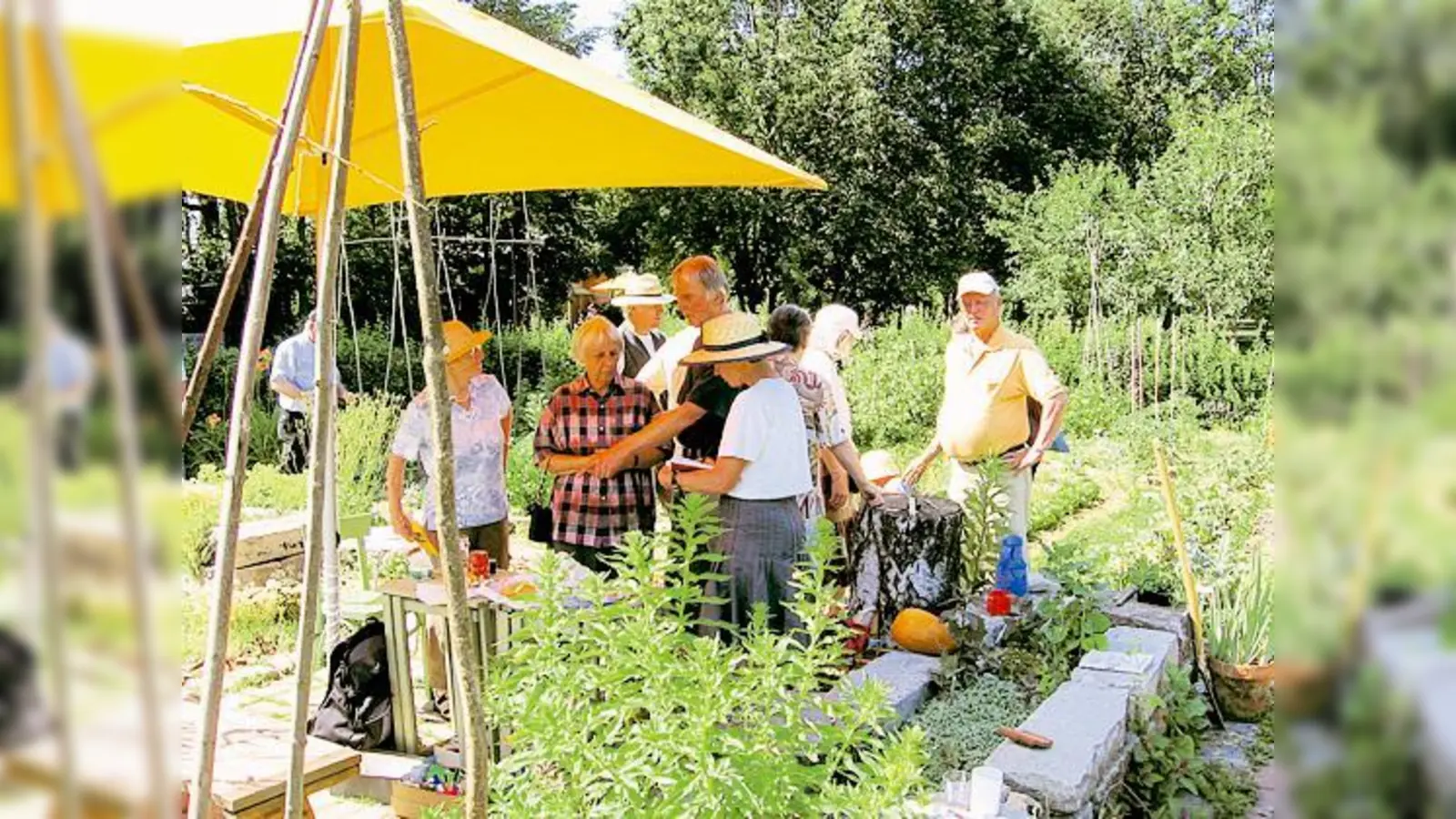 Alles, was Gartler lieben: draußen arbeiten, Blumen bewundern, sich austauschen.	 (Foto: VA)