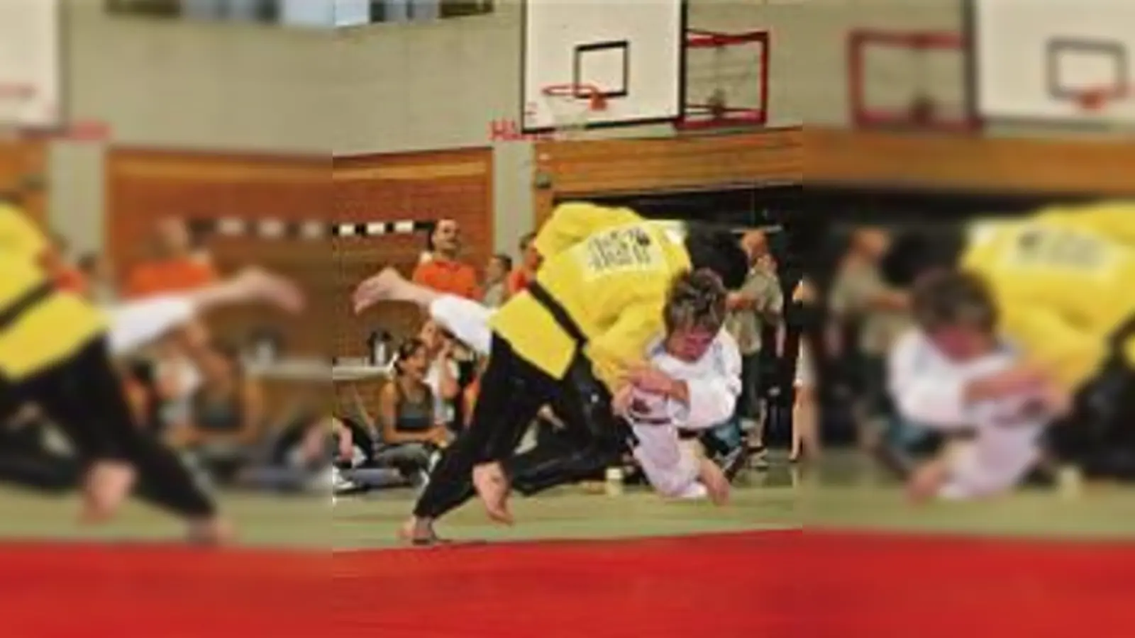  Judo ist ein sehr dynamischer Sport, wie man hier gut sehen kann.  (Foto: Jana Kisselova)