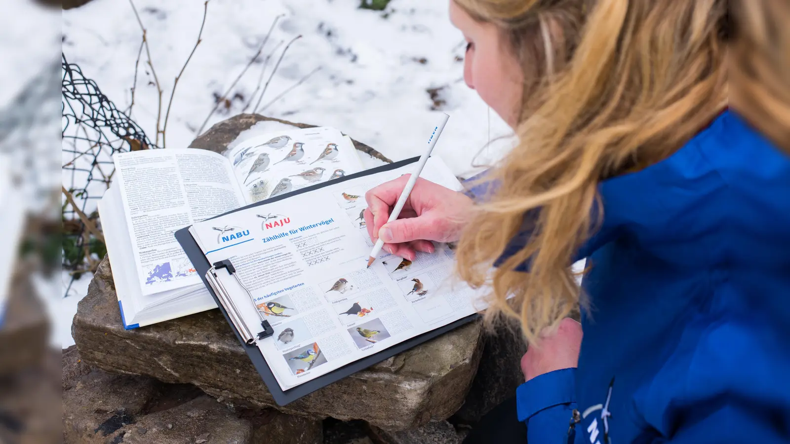 In München-Stadt zählten heuer 2294 Vogelfreunde in 1710 Gärten 40623 Vögel (Foto: NABU)