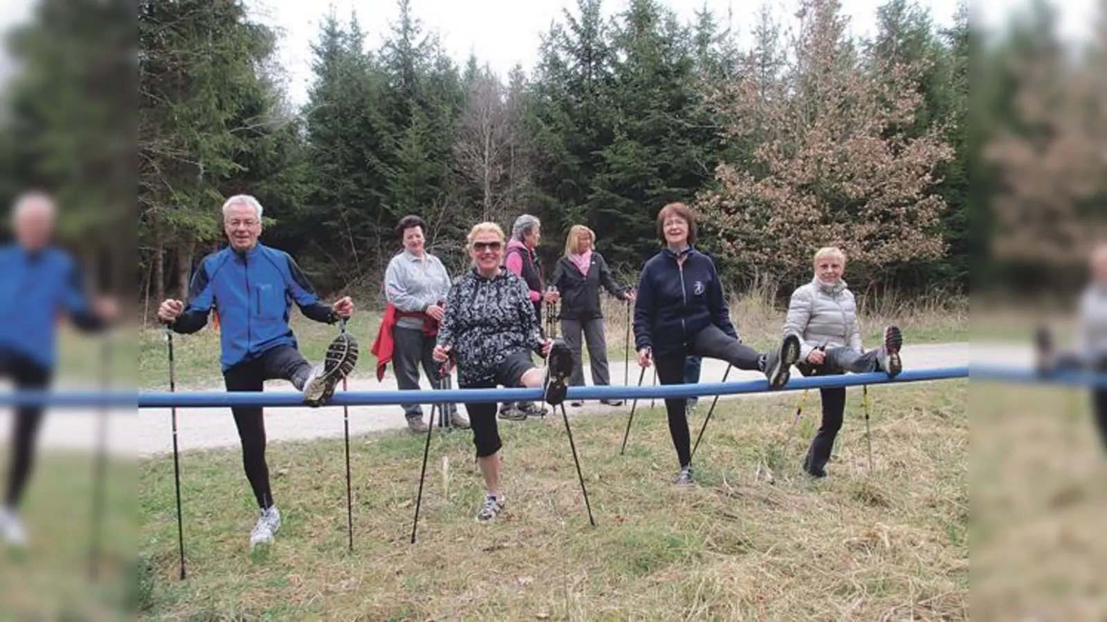 Die Nordic Walking Gruppe trifft sich immer dienstags und freitags für ihre Wald-Tour.	 (Foto: VA)