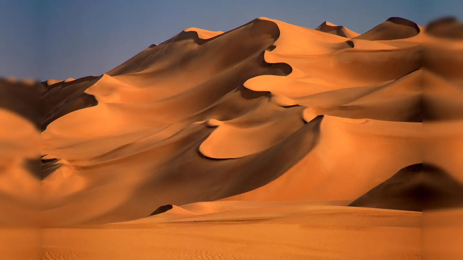 Seit der Münchner Richard Mayer die Sahara bei einem Kameltrekking kennengelernt hatte, ließ ihn der „Wüstenbazillus“ nicht mehr los. (Foto: Richard Mayer)