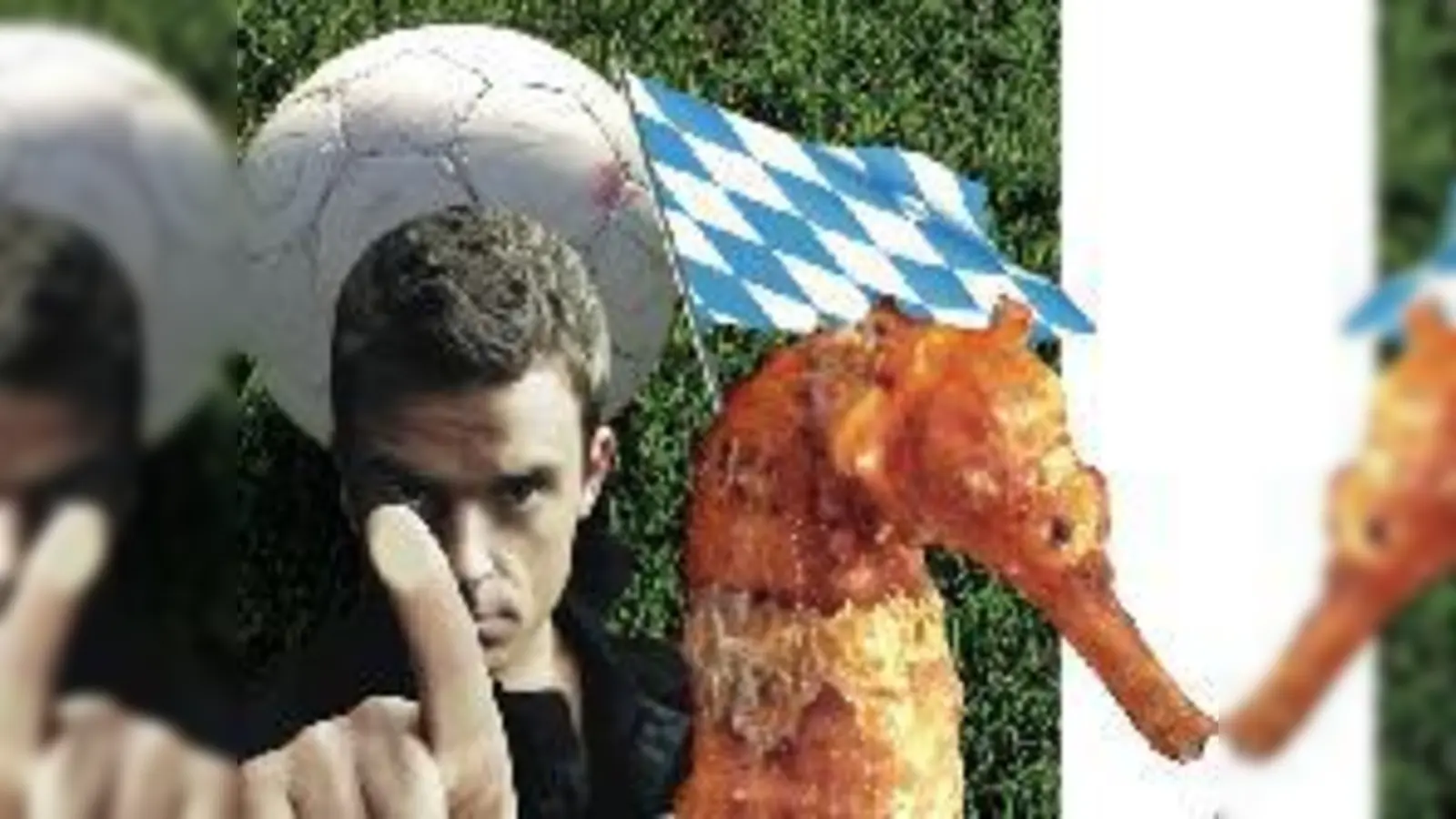 200 Jahre Königreich Bayern, hoher Besuch von Robbie Williams, der Einzug von Seepferdchen und anderem Wassergetier in den Olympiapark und die WM  (Foto: Es gibt viel zu feiern im neuen Jahr. Pack mas an!)