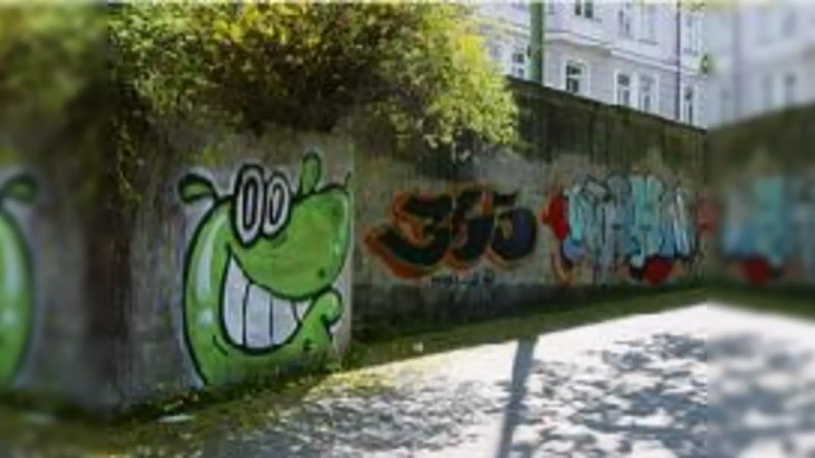 Graffiti an der Ludwigsbrücke.	 (Foto: Brücke)