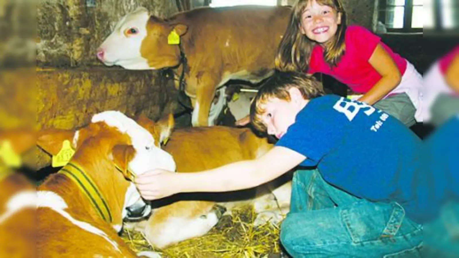 Die anfängliche Scheu war schnell überwunden. (Foto: pi)