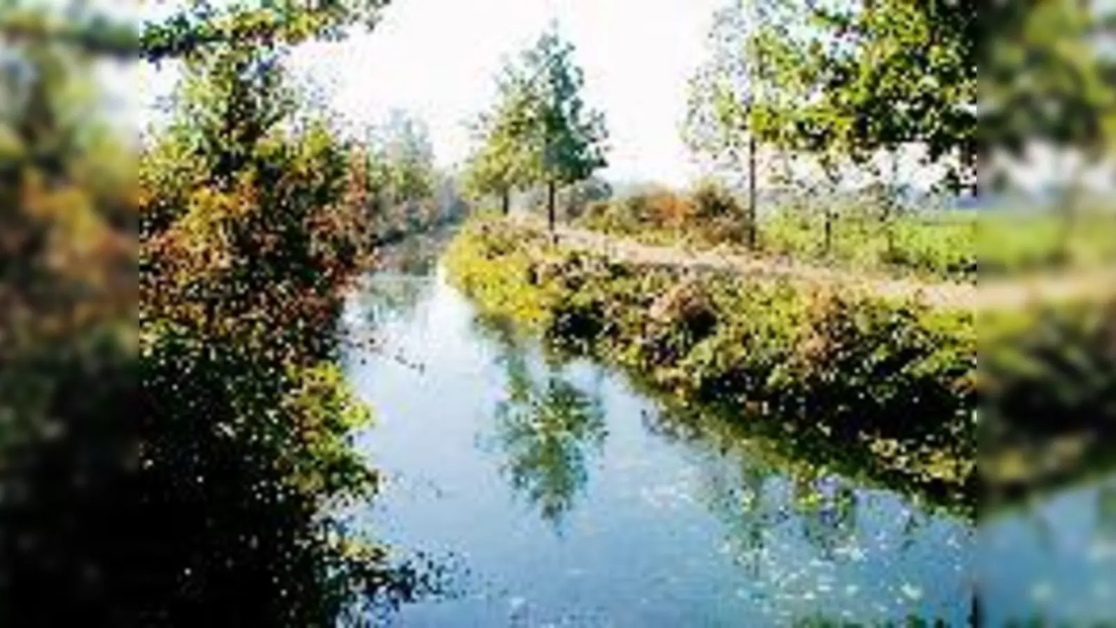 Der Schleißheimer Kanal zieht sich, bis auf einige Knicke, schnurgerade durch den Münchner Norden  früher stellte er eine kulturelle Leistung einerseits, eine Wegmarke andererseits dar.	 (Foto: cr)