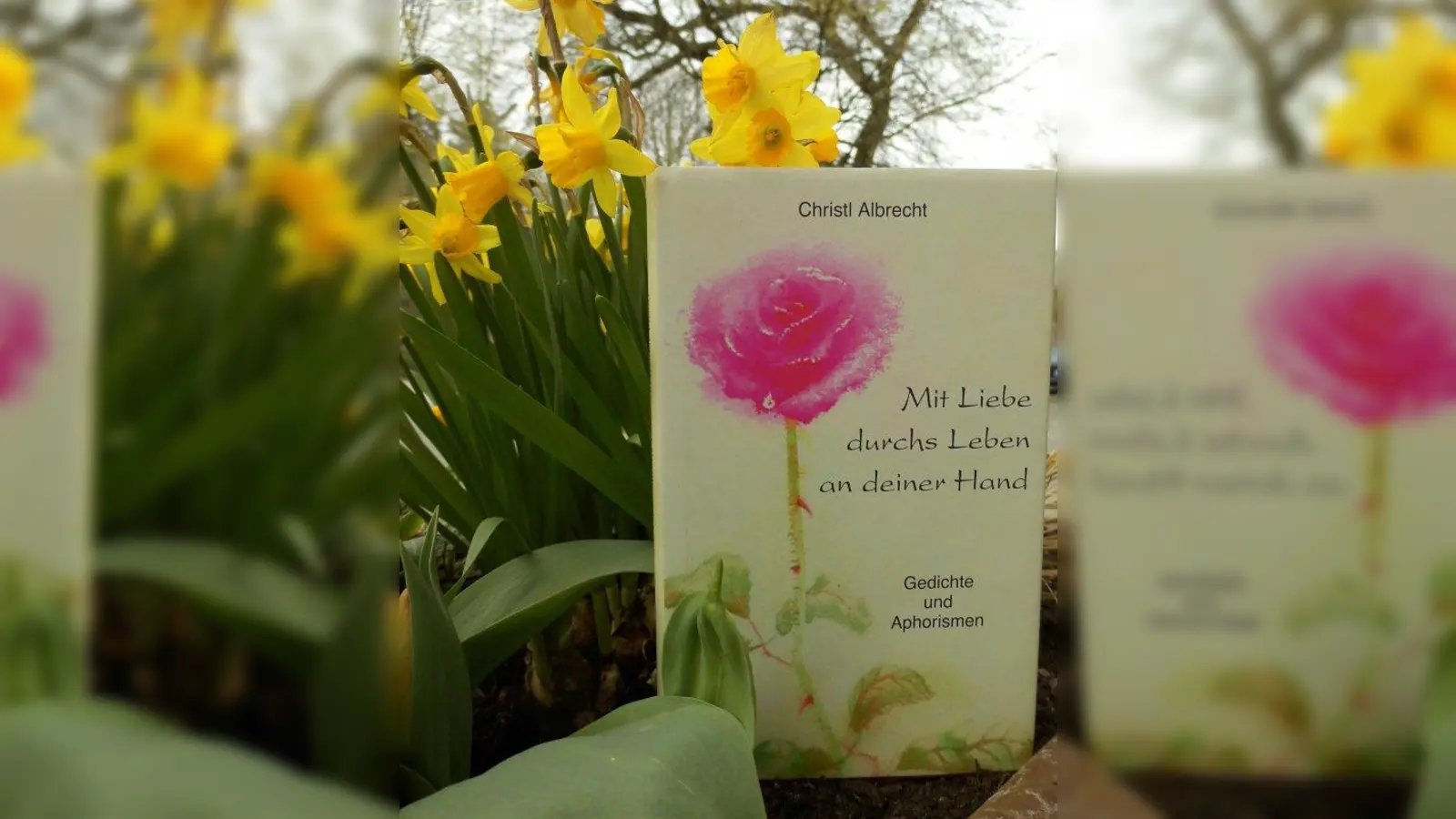 Christl Albrecht fasst ihre Gedanken in Gedichten zusammen. Einige von ihnen sind in dem Band „Mit Liebe durchs Leben an deiner Hand” erschienen. (Foto: pi)