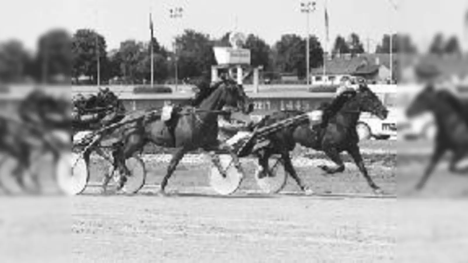 Im Heimrennen gewann das Daglfinger Pferd Galatossa mit Jockey Gerd Biendl.  (Foto: Hans Springer)