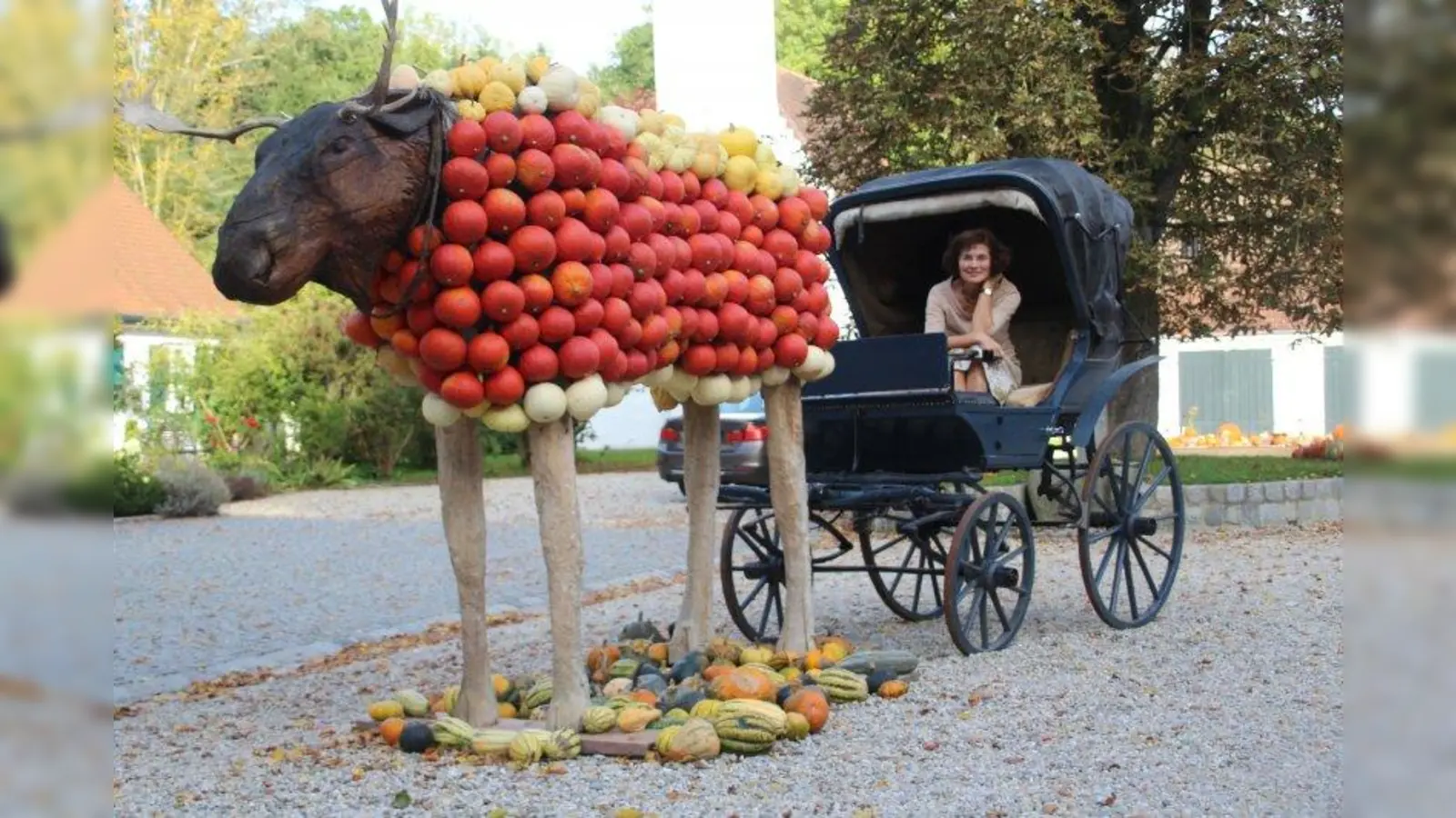 Der Kürbis-Elch &amp;quot;zieht&amp;quot; die Kutsche der Kürbiskönigin Walburga Loock aus Schwabhausen. (Foto: Huss-Weber)
