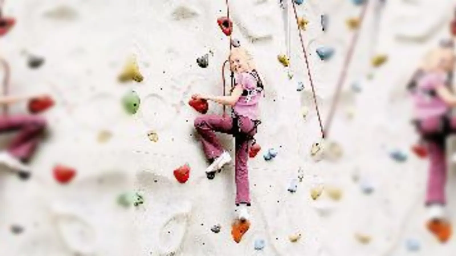 Viel Spaß für Groß und Klein verspricht der Kletterwald in Grünwald.  (Foto: Schunk)