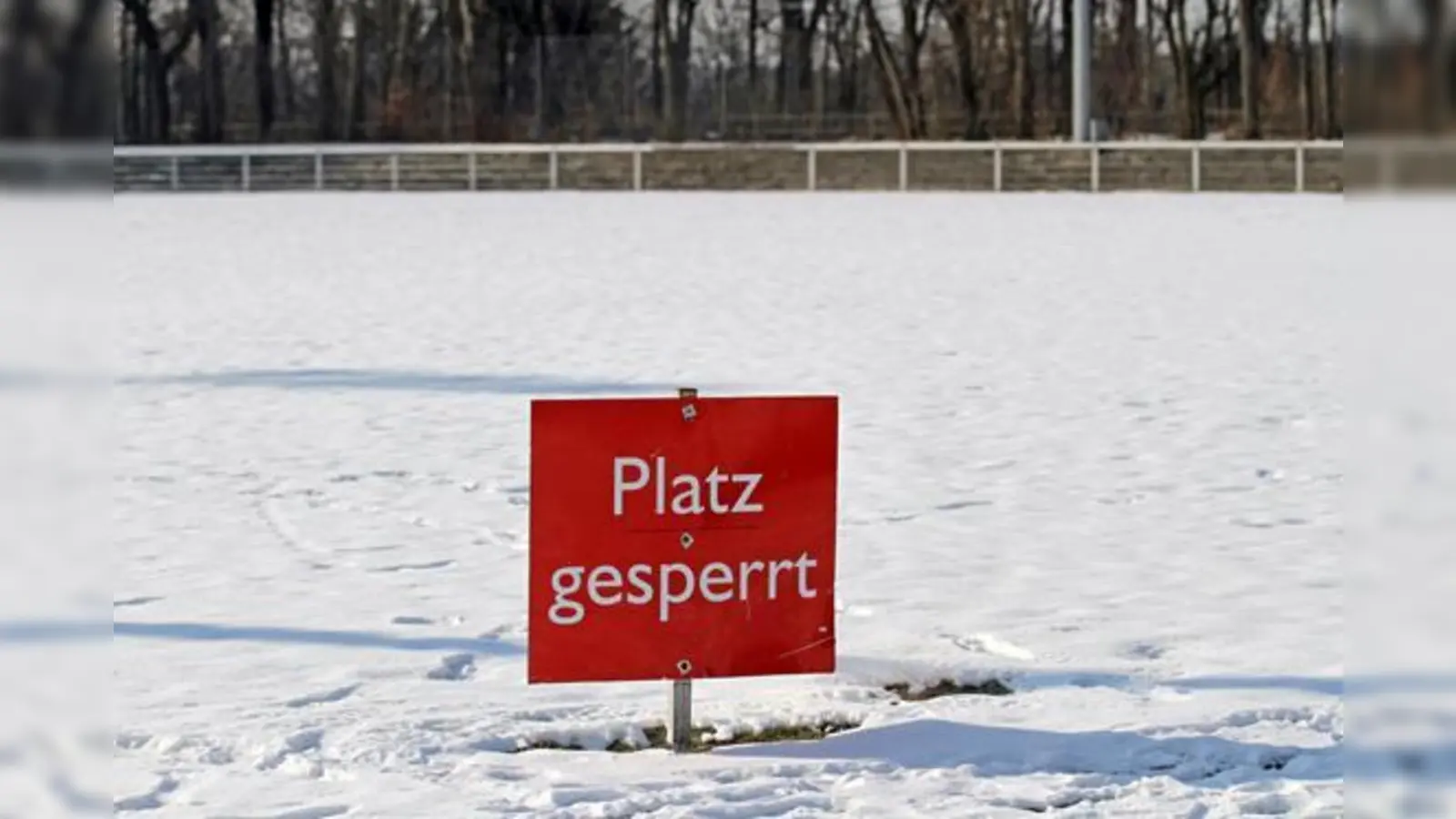 Winterruhe bei den Löwen.  (Foto: Anne Wild)